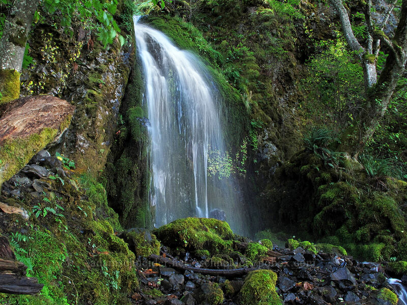 Lower Lancaster Falls [Mt. Defiance Trail, Columbia River Gorge, Hood River County, Oregon]