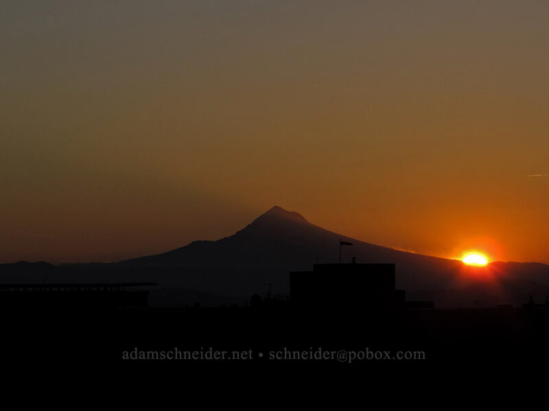 Mount Hood at sunrise [Marquam Hill, Portland, Multnomah County, Oregon]
