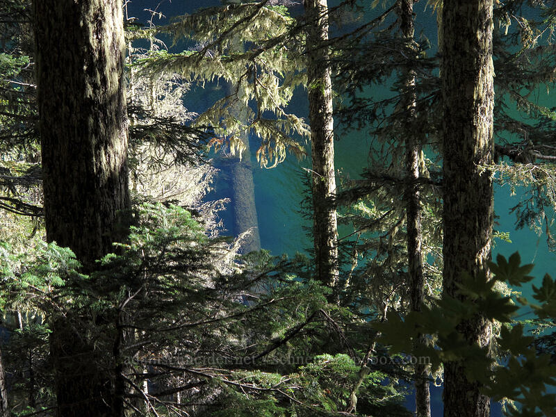 Blue Lake [Toutle Trail, Mt. St. Helens National Volcanic Monument, Cowlitz County, Washington]