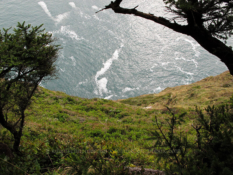 steep hillside & surf [Cape Lookout State Park, Tillamook County, Oregon]