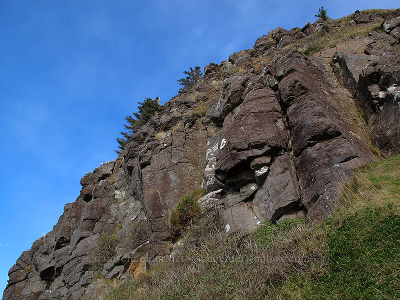 cliffs at the end of Cape Lookout [Cape Lookout State Park, Tillamook County, Oregon]