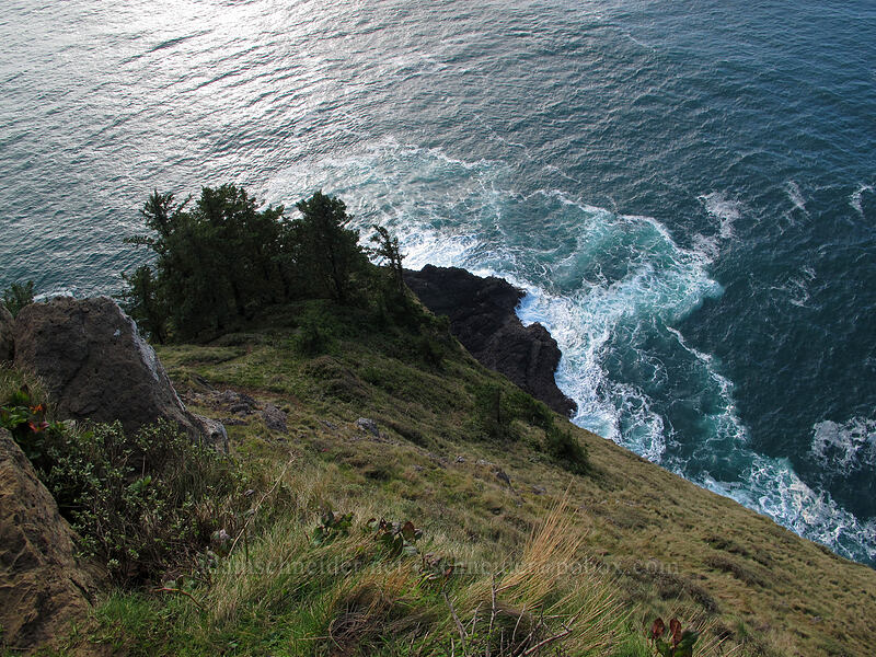 southwestern tip of Cape Lookout [Cape Lookout State Park, Tillamook County, Oregon]