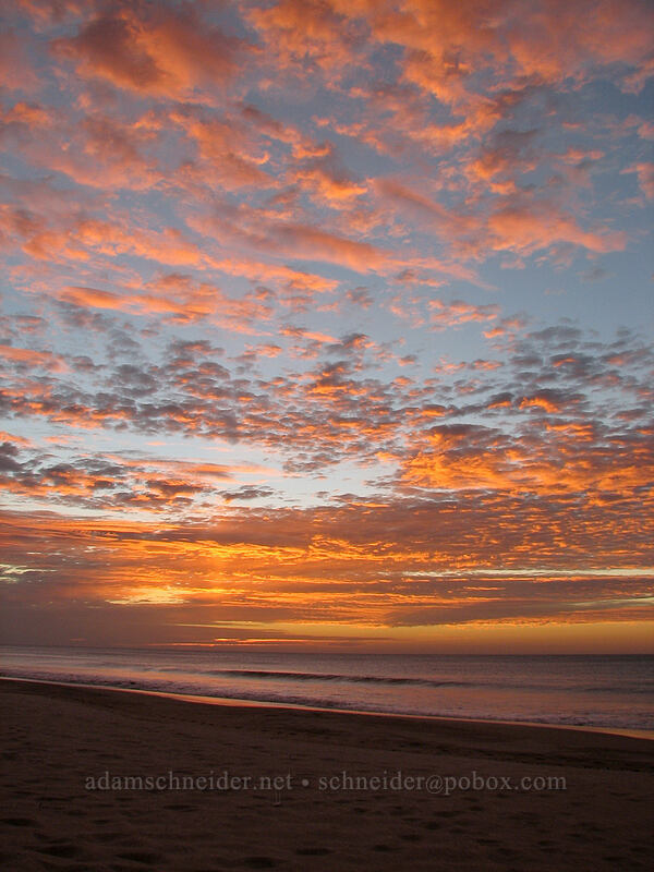 pre-sunrise [Playa Hotelera, San Jose del Cabo, Los Cabos, Baja California Sur, Mexico]