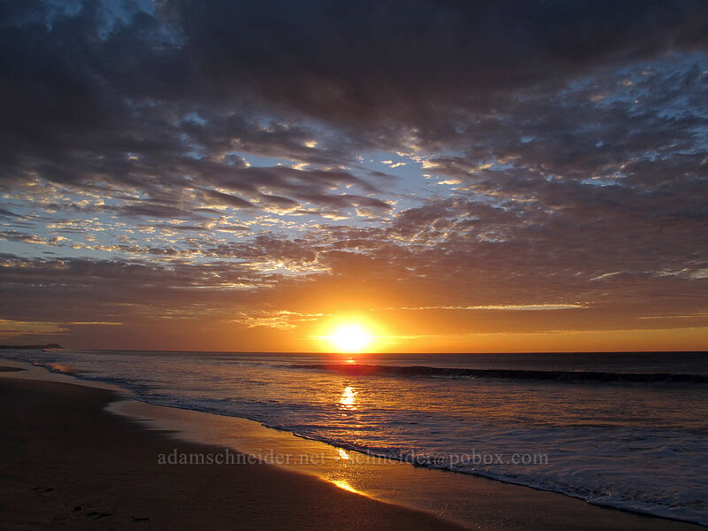 sunrise [Playa Hotelera, San Jose del Cabo, Los Cabos, Baja California Sur, Mexico]