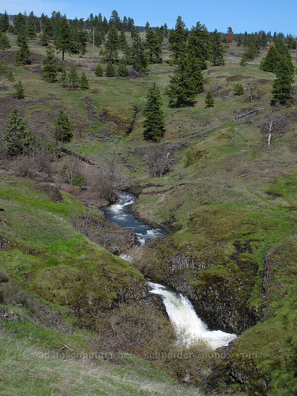 cascades on Catherine Creek [Catherine Creek, Klickitat County, Washington]