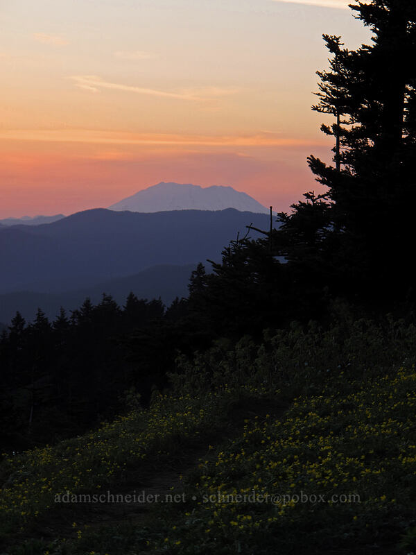 Mt. St. Helens at sunset [Dog Mountain Trail, Gifford Pinchot National Forest, Skamania County, Washington]