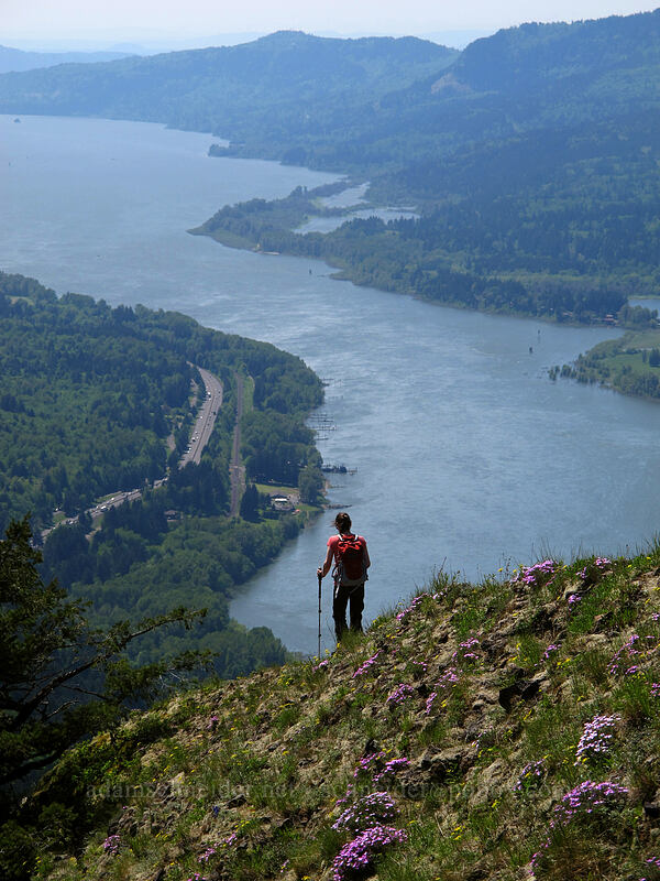descending the trail [Munra Point Trail, Columbia River Gorge, Multnomah County, Oregon]