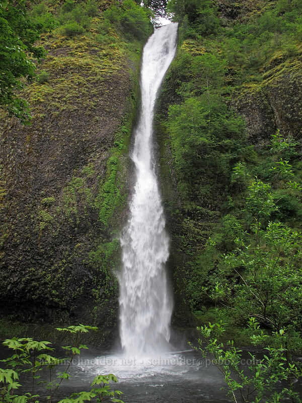 Horsetail Falls [Horsetail Falls Trailhead, Columbia River Gorge, Multnomah County, Oregon]