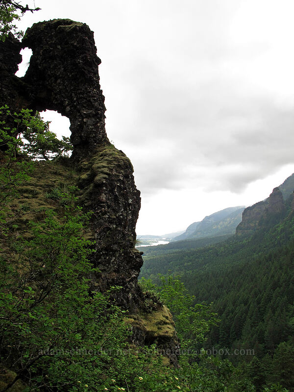 the arch [Rock of Ages Arch, Columbia River Gorge, Oregon]
