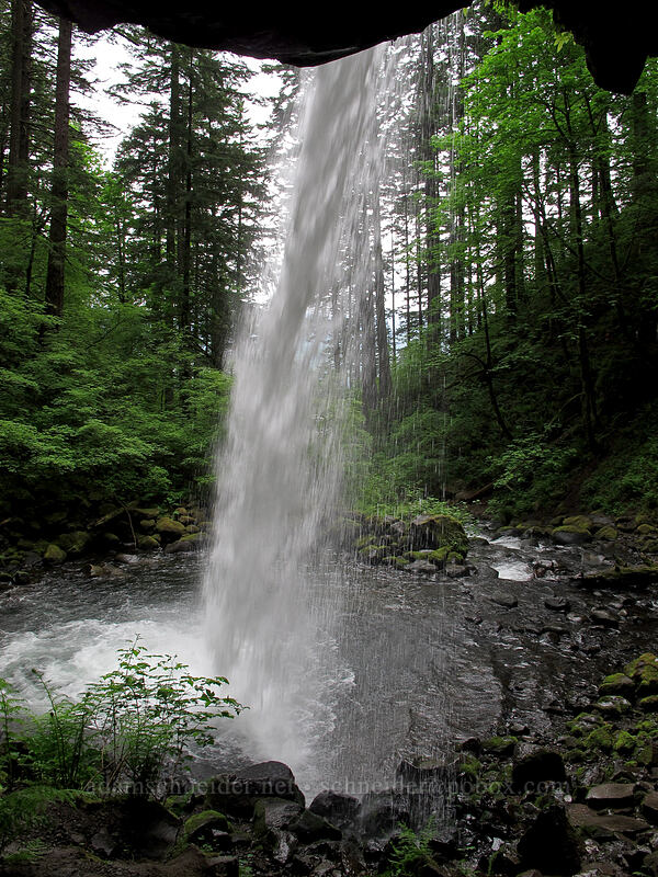 Ponytail Falls [Horsetail Falls Trail, Columbia River Gorge, Multnomah County, Oregon]