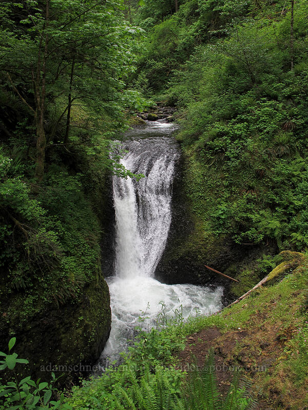 Middle Oneonta Falls [Oneonta Canyon, Columbia River Gorge, Multnomah County, Oregon]