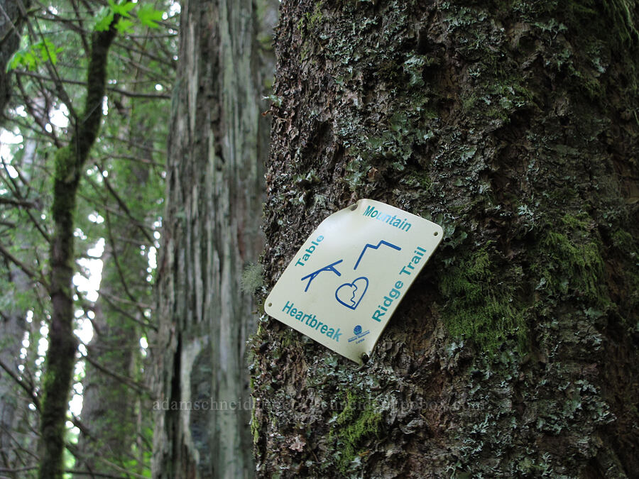 Heartbreak Ridge trail marker [Heartbreak Ridge Trail, Table Mountain NRCA, Skamania County, Washington]
