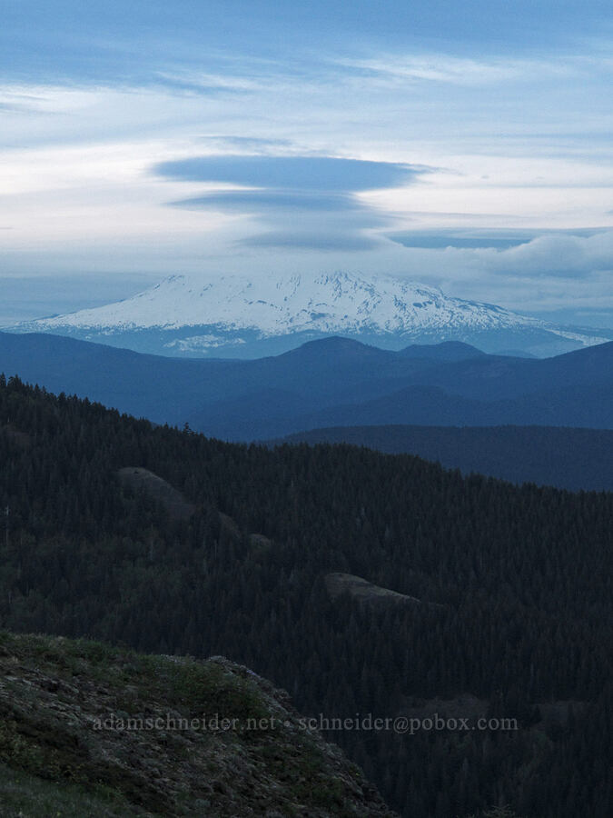 Mount Adams [Table Mountain summit, Table Mountain NRCA, Skamania County, Washington]