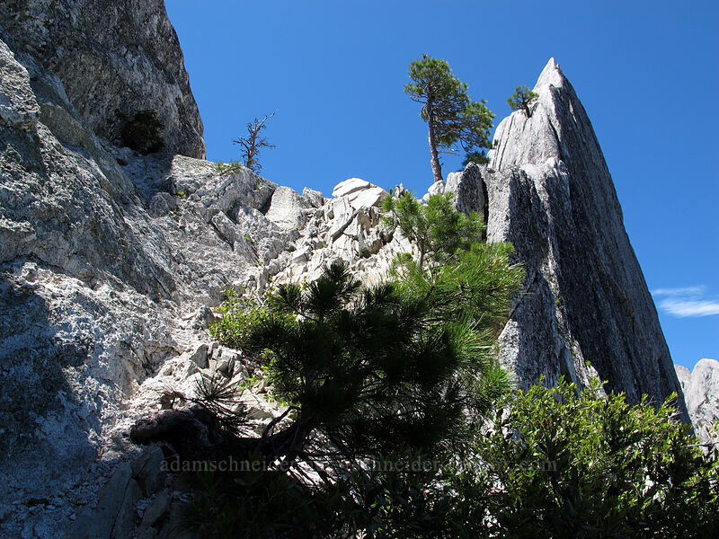 scramble trail [Castle Crags, Castle Crags Wilderness, Shasta County, California]