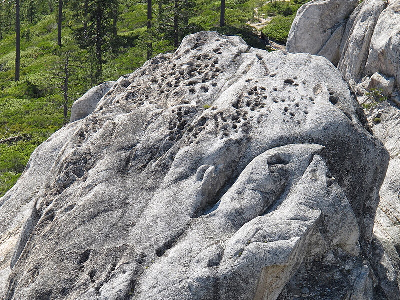 pitted granite [Castle Crags, Castle Crags Wilderness, Shasta County, California]