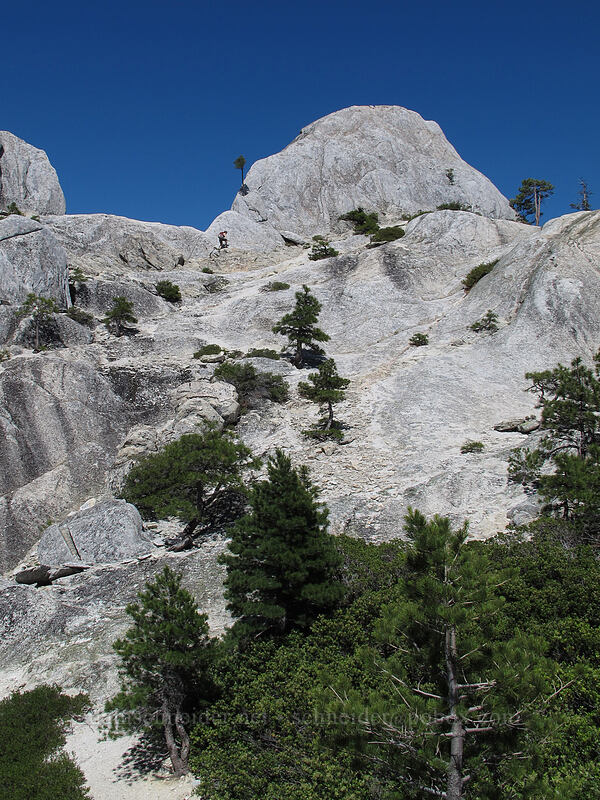 lumpy granite [Castle Crags, Castle Crags Wilderness, Shasta County, California]