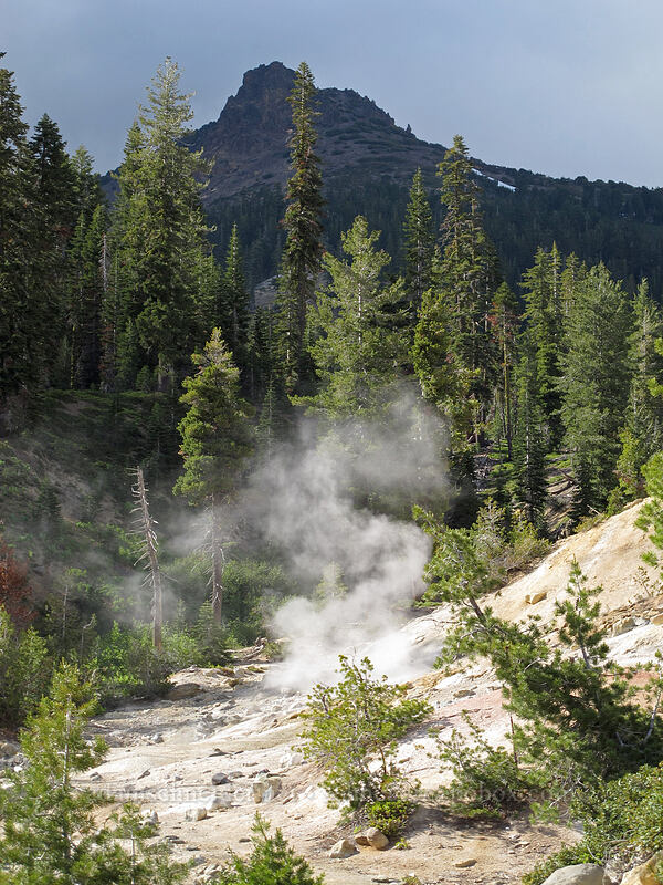 steam & Mt. Diller [Sulphur Works, Lassen Volcanic National Park, Shasta County, California]