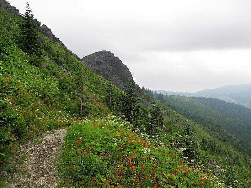 Pyramid Rock & wildflowers [Grouse Vista Trail, Gifford Pinchot Nat'l Forest, Clark County, Washington]