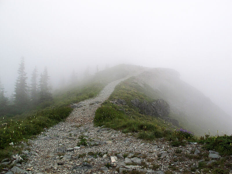 cloudy path to the summit [Silver Star Mountain summit, Gifford Pinchot Nat'l Forest, Skamania County, Washington]