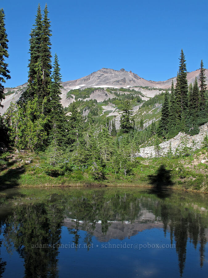 Old Snowy Mountain, reflected [Lily Basin Trail, Goat Rocks Wilderness, Lewis County, Washington]