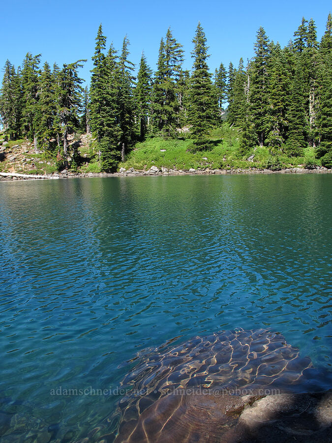Bays Lake [Jefferson Park, Mt. Jefferson Wilderness, Marion County, Oregon]