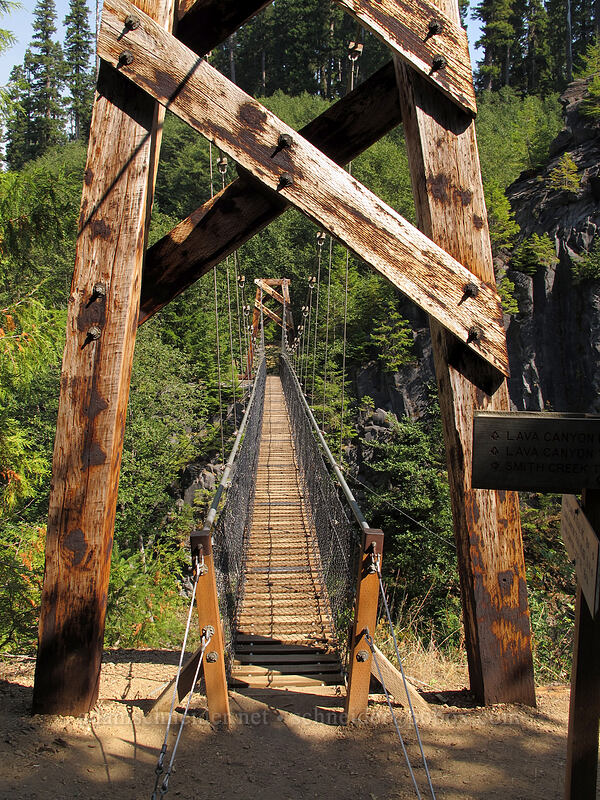 suspension bridge [Lava Canyon Trail, Mt. St. Helens National Volcanic Monument, Skamania County, Washington]