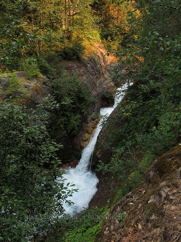 waterfall [Lava Canyon Trail, Mt. St. Helens National Volcanic Monument, Skamania County, Washington]