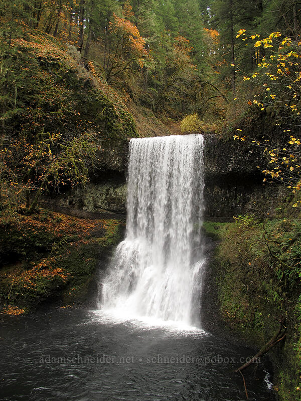 Lower South Falls [Canyon Trail, Silver Falls State Park, Marion County, Oregon]