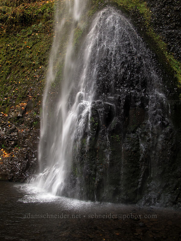 Double Falls [Canyon Trail, Silver Falls State Park, Marion County, Oregon]