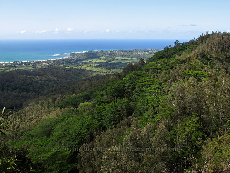view over the Hanalei River toward Princeville [Hihimanu Trail, Hanalei, Kaua'i, Hawaii]