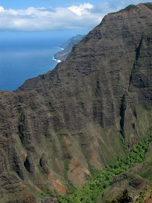 ridges flanking Awa'awapuhi Valley [Lolo Vista, Na Pali-Kona Forest Reserve, Kaua'i, Hawaii]
