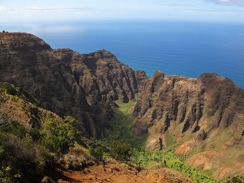 Nu'alolo Valley [Nu'alolo Cliffs Trail, Na Pali-Kona Forest Reserve, Kaua'i, Hawaii]