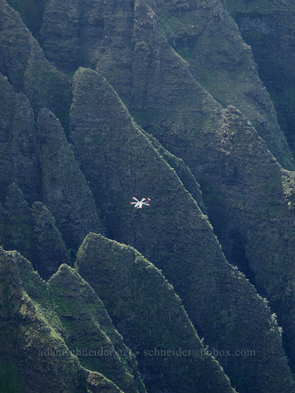 helicopter [Awa'awapuhi Vista, Na Pali-Kona Forest Reserve, Kaua'i, Hawaii]