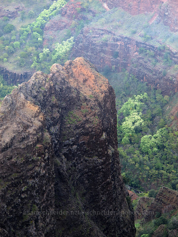 end of a ridge [Waimea Canyon Lookout, Waimea Canyon State Park, Kaua'i, Hawaii]