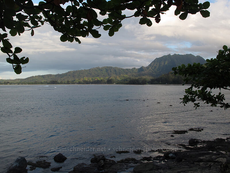 'Okolehao Ridge & Hihimanu from across Hanalei Bay [Makahoa Point, Hanalei, Kaua'i, Hawaii]