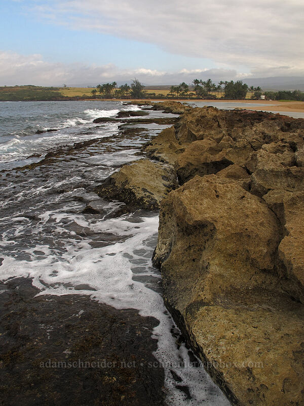 rocky reef [Salt Pond Beach Park, Hanapepe, Kaua'i, Hawaii]