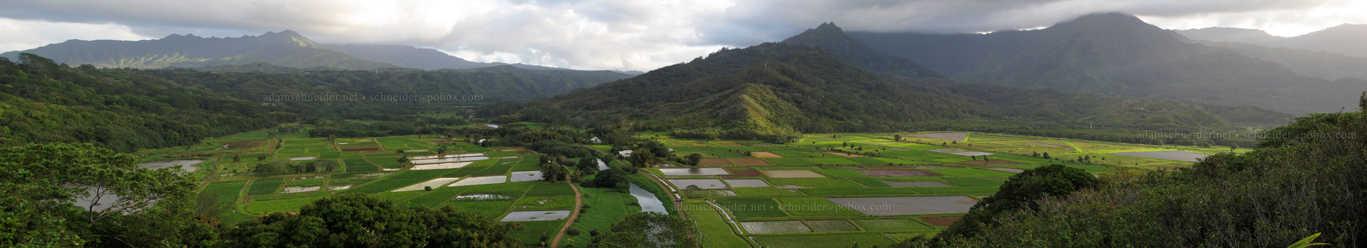 Hanalei Valley panorama [Hanalei Lookout, Princeville, Kaua'i, Hawaii]