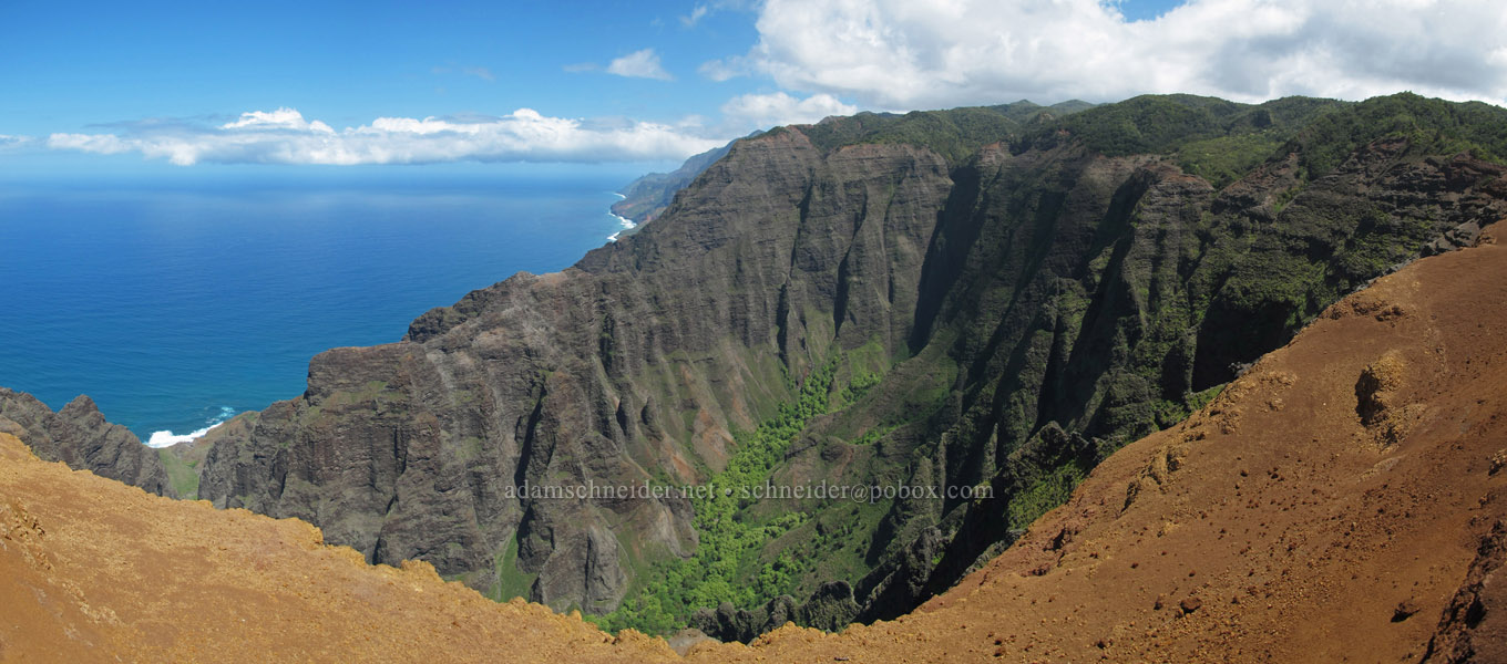 Nu'alolo panorama [Lolo Vista, Na Pali-Kona Forest Reserve, Kaua'i, Hawaii]