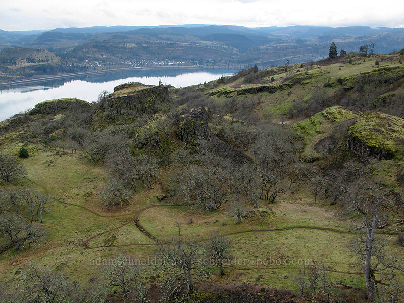 trails in the Labyrinth [The Labyrinth, Klickitat County, Washington]