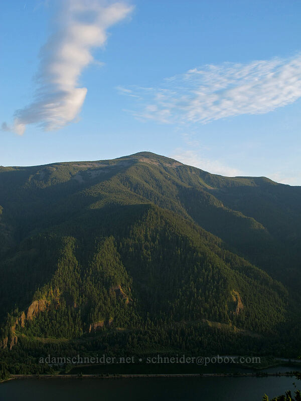 Mt. Defiance [Dog Mountain, Gifford Pinchot National Forest, Skamania County, Washington]
