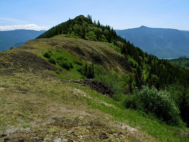 Hamilton Mountain [Hamilton Mountain Trail, Beacon Rock State Park, Skamania County, Washington]