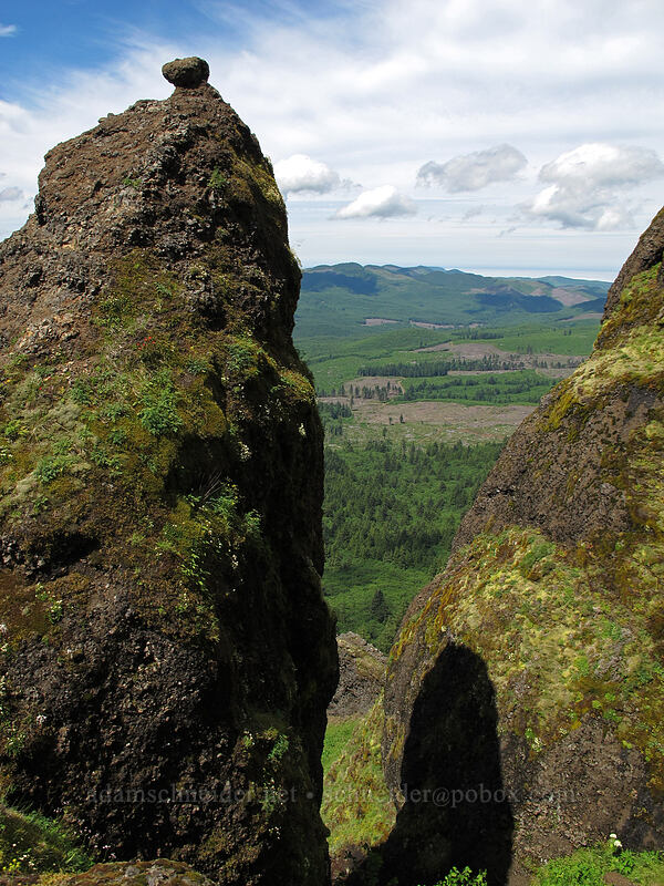 cliffs [Saddle Mountain Trail, Clatsop County, Oregon]