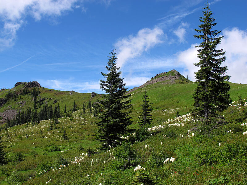 Silver Star scenery [Ed's Trail, Silver Star Mountain, Gifford Pinchot Nat'l Forest, Skamania County, Washington]