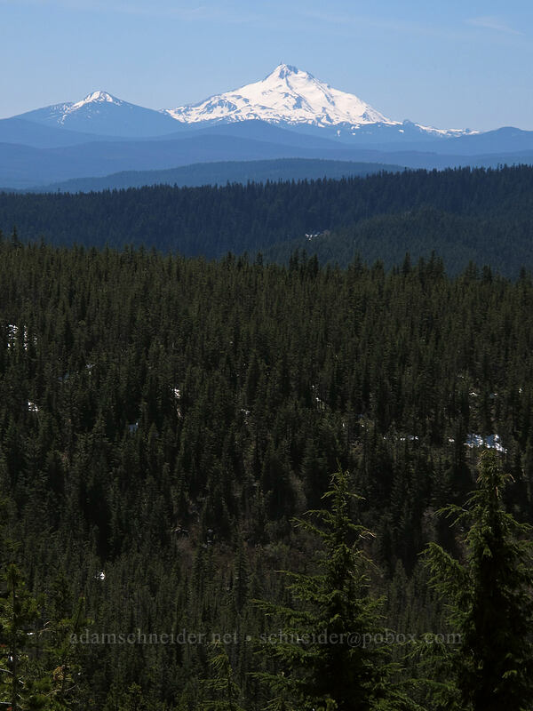 Mount Jefferson & Olallie Butte [Tom Dick & Harry Mountain, Mt. Hood National Forest, Clackamas County, Oregon]