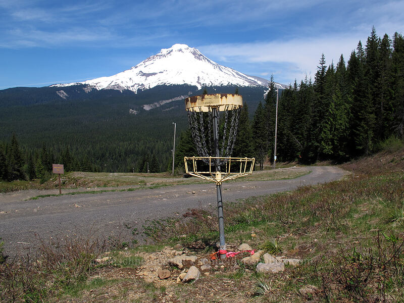 Ski Bowl disc golf course [Ski Bowl, Mt. Hood National Forest, Clackamas County, Oregon]