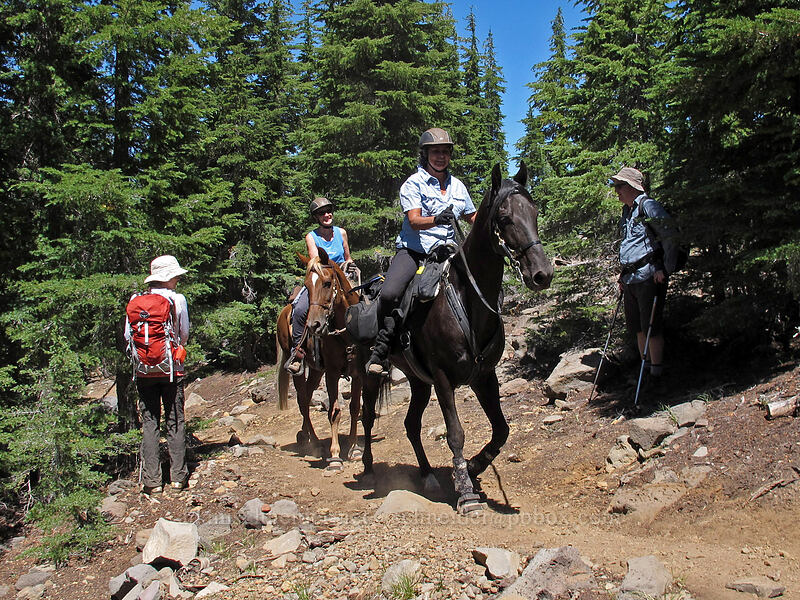 horseback riders [Mt. Thielsen Trail, Mt. Thielsen Wilderness, Douglas County, Oregon]