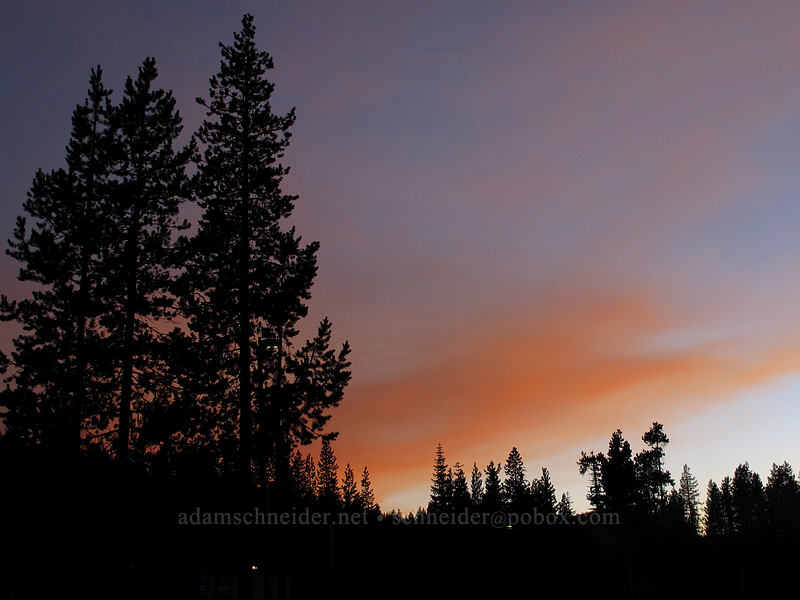 smoke from the Douglas Complex Fire [Howlock Mountain Trailhead, Umpqua National Forest, Douglas County, Oregon]