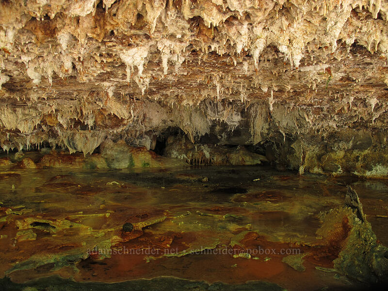travertine stalactites [Umpqua Hot Springs, Umpqua National Forest, Douglas County, Oregon]