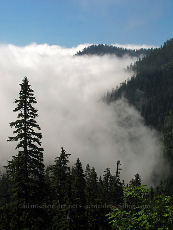 clouds in the South Snoqualmie Valley [Snow Lake Trail, Snoqualmie National Forest, King County, Washington]