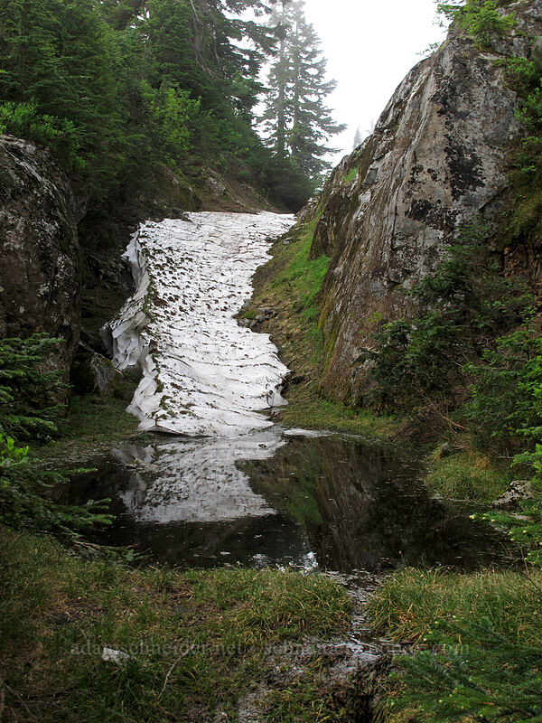 lingering snow [High Lakes Trail, Alpine Lakes Wilderness, King County, Washington]